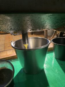 Besuch der Holländermühle 2